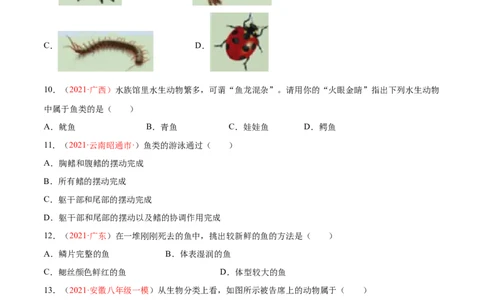 期中测试（A卷&middot;夯实基础）（原卷版）_初中全科电子版试卷练习试题_生物_生物8下练习_人教生物8年级下期中试卷10份