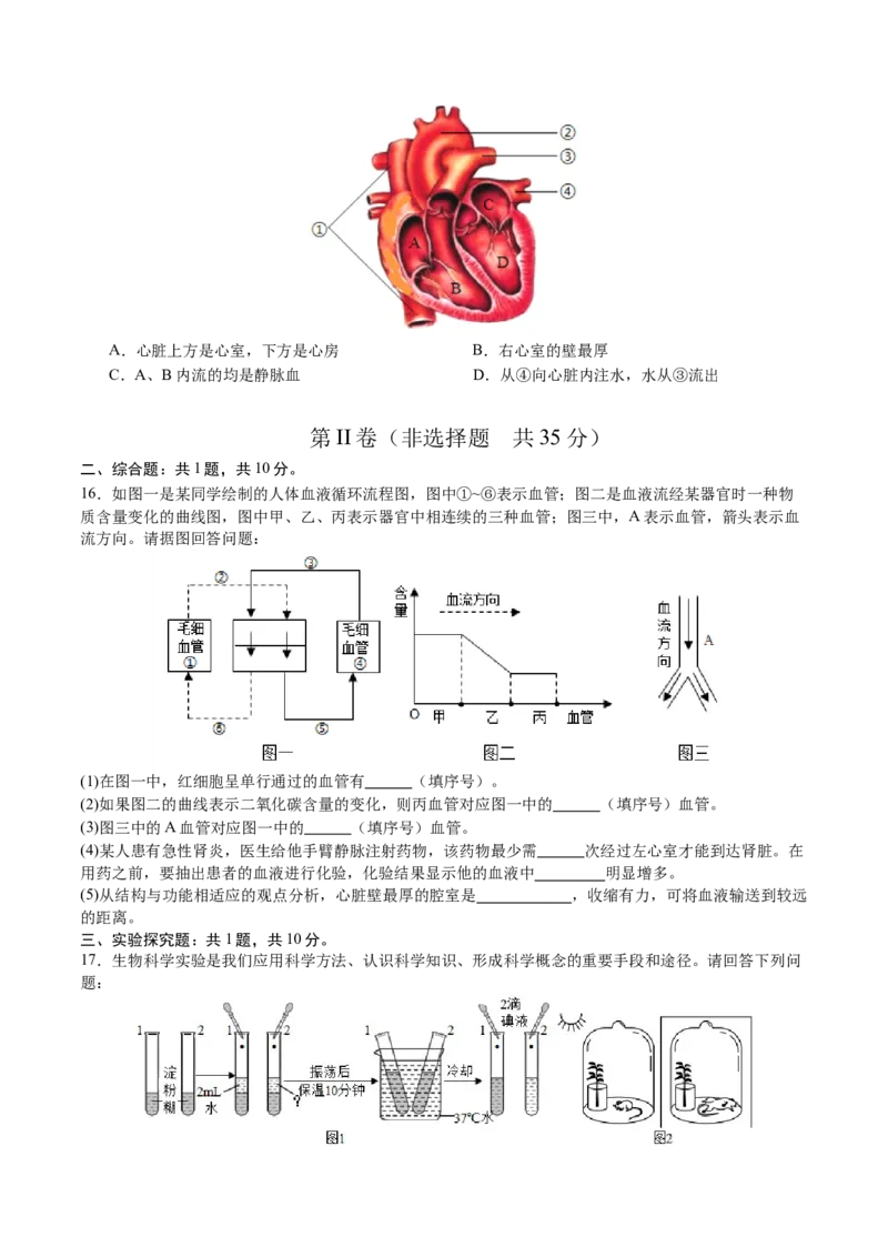 生物（山西太原卷）（考试版A4）_初中全科电子版试卷练习试题_生物_2024中考模拟题生物(1)_三模（37套）_生物（山西太原卷）