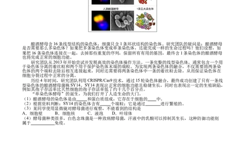 生物（山西太原卷）（考试版A4）_初中全科电子版试卷练习试题_生物_2024中考模拟题生物(1)_三模（37套）_生物（山西太原卷）
