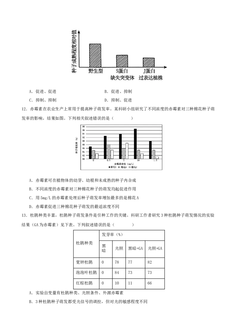 专题九实验与探究（原卷版）_2025年新高考资料_二轮复习_上好课2025年高考生物二轮复习讲练测（新高考通用）3380526