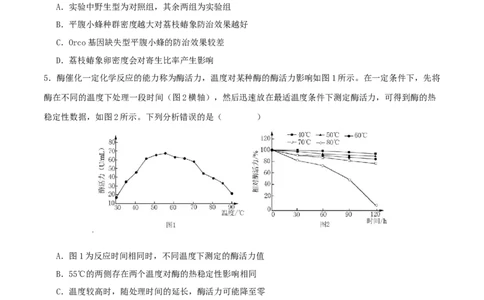 专题九实验与探究（原卷版）_2025年新高考资料_二轮复习_上好课2025年高考生物二轮复习讲练测（新高考通用）3380526