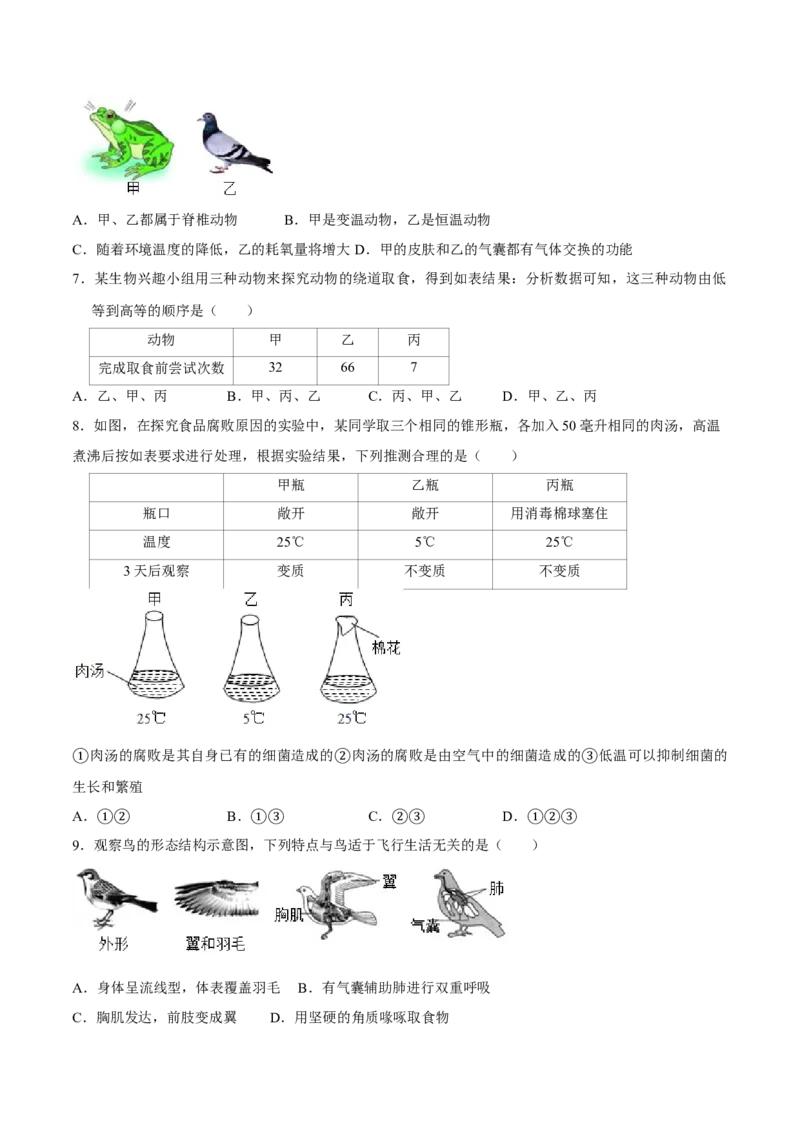 八年级上册生物期中测试02（原卷版）_初中全科电子版试卷练习试题_生物_生物8上练习_人教生物8年级上期中试卷08份