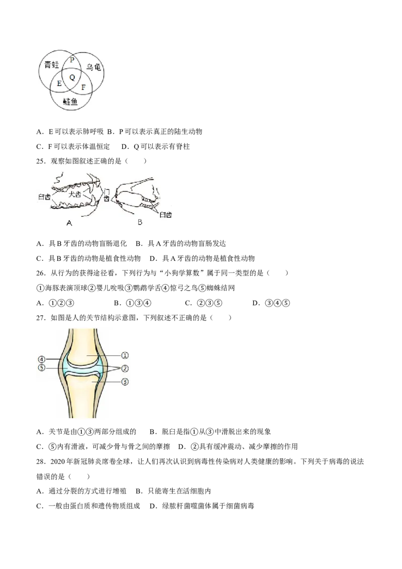 八年级上册生物期中测试02（原卷版）_初中全科电子版试卷练习试题_生物_生物8上练习_人教生物8年级上期中试卷08份