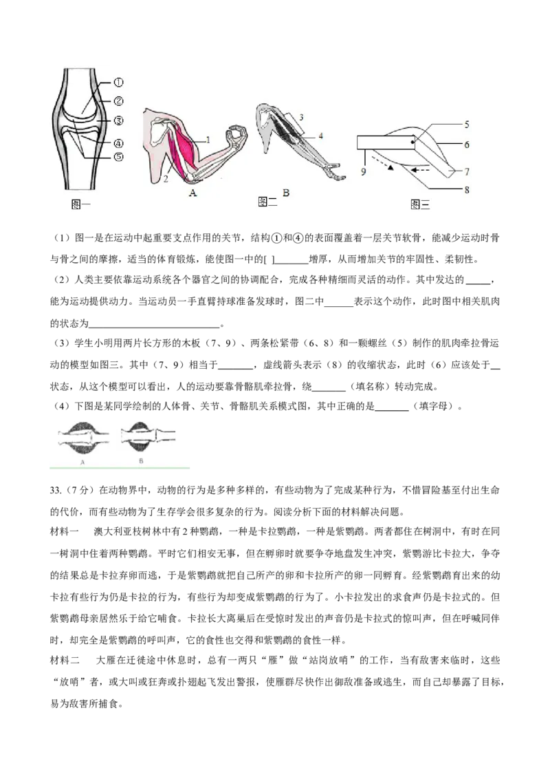八年级上册生物期中测试02（原卷版）_初中全科电子版试卷练习试题_生物_生物8上练习_人教生物8年级上期中试卷08份