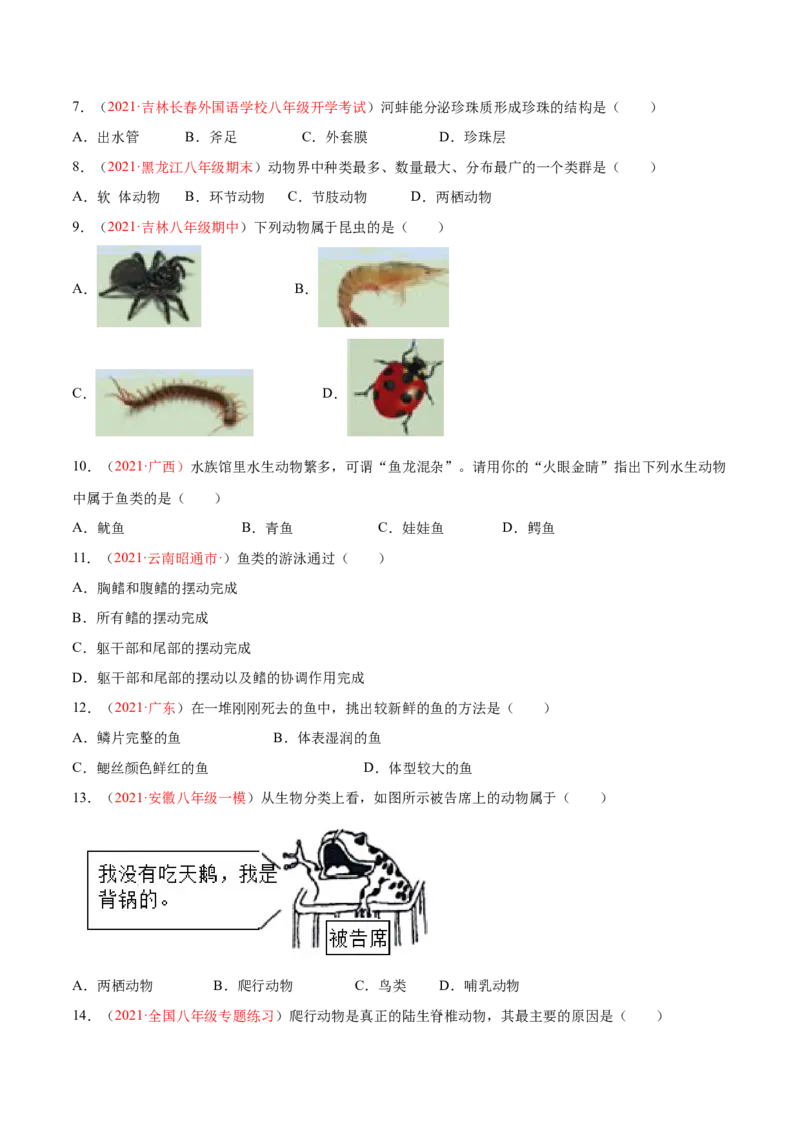 期中测试（A卷&middot;夯实基础）（原卷版）_初中全科电子版试卷练习试题_生物_生物8上练习_人教生物8年级上期中试卷08份