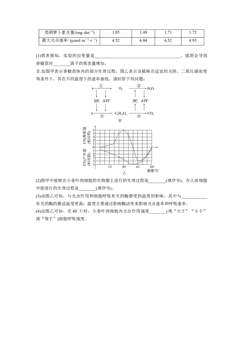 二轮专题强化练　重难大题集训(一)　光合作用和细胞呼吸的实验探究与分析_通用版（老高考）复习资料_2023年复习资料_二轮复习_2023年高考生物二轮复习讲义+课件（全国版）_学生版