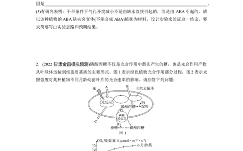 二轮专题强化练　重难大题集训(一)　光合作用和细胞呼吸的实验探究与分析_通用版（老高考）复习资料_2023年复习资料_二轮复习_2023年高考生物二轮复习讲义+课件（全国版）_学生版
