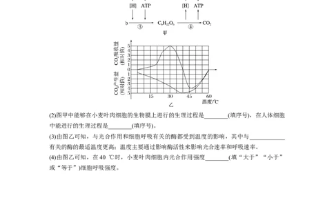 二轮专题强化练　重难大题集训(一)　光合作用和细胞呼吸的实验探究与分析_通用版（老高考）复习资料_2023年复习资料_二轮复习_2023年高考生物二轮复习讲义+课件（全国版）_学生版
