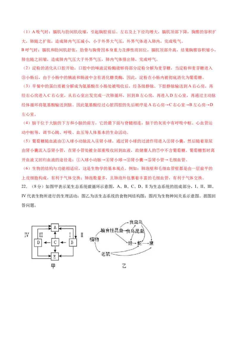 生物（重庆卷）（解析版）_初中全科电子版试卷练习试题_生物_2024中考模拟题生物(1)_二模_生物（重庆卷）-：2024年中考第二次模拟考试