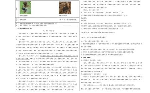 提升卷-2022-2023学年八年级语文上册期末卷（浙江宁波专用）（考试版）_初中全科电子版试卷练习试题_语文_8上初中部编版语文练习、试卷_部编语文八年级上期末试卷（054份）