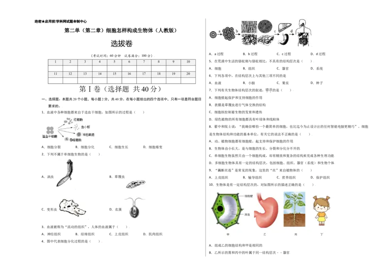 第2单元（第2章）细胞怎样构成生物体（选拔卷）（人教版）（考试版）_初中全科电子版试卷练习试题_生物_生物人教版7上练习&mdash;24新版已更新_人教生物7年级上单元试卷36份