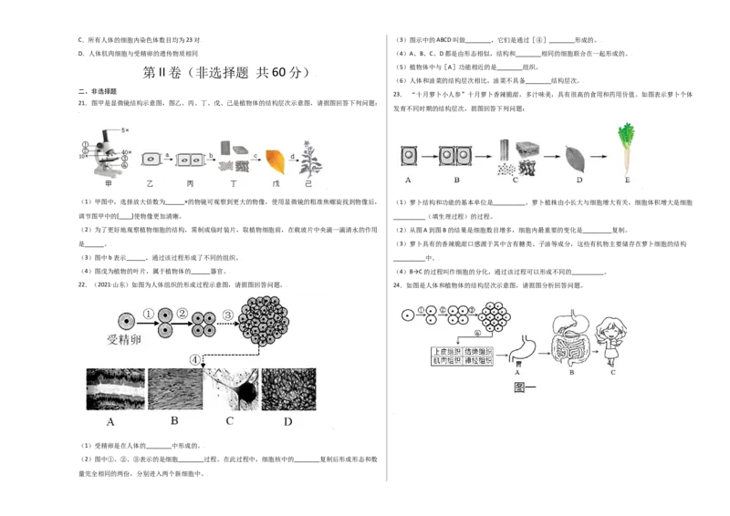 第2单元（第2章）细胞怎样构成生物体（选拔卷）（人教版）（考试版）_初中全科电子版试卷练习试题_生物_生物人教版7上练习&mdash;24新版已更新_人教生物7年级上单元试卷36份