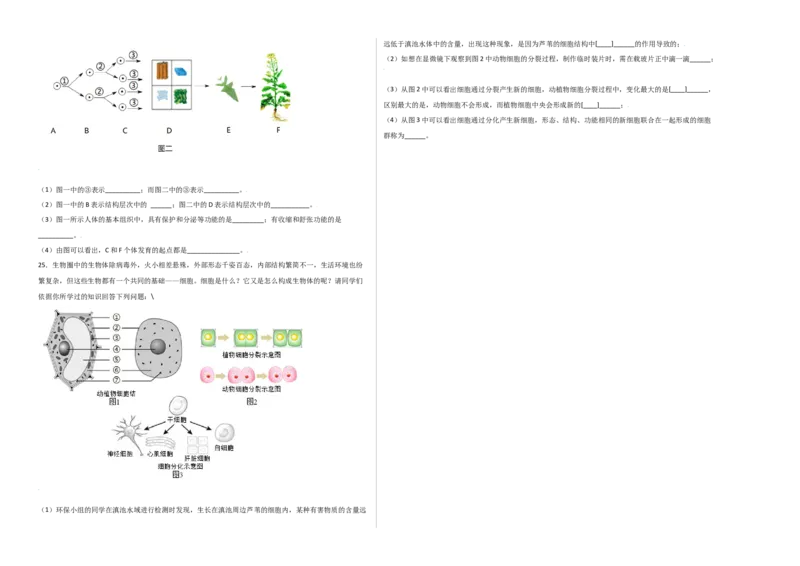 第2单元（第2章）细胞怎样构成生物体（选拔卷）（人教版）（考试版）_初中全科电子版试卷练习试题_生物_生物人教版7上练习&mdash;24新版已更新_人教生物7年级上单元试卷36份
