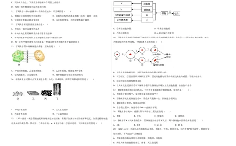 第2单元（第2章）细胞怎样构成生物体（选拔卷）（人教版）（考试版）_初中全科电子版试卷练习试题_生物_生物人教版7上练习&mdash;24新版已更新_人教生物7年级上单元试卷36份