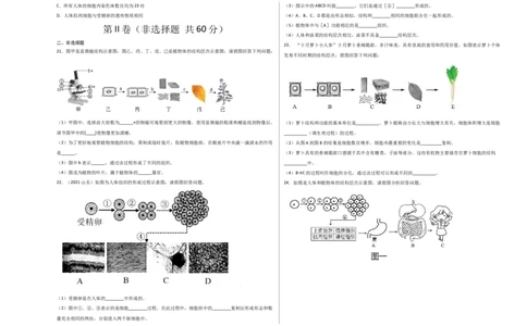 第2单元（第2章）细胞怎样构成生物体（选拔卷）（人教版）（考试版）_初中全科电子版试卷练习试题_生物_生物人教版7上练习&mdash;24新版已更新_人教生物7年级上单元试卷36份