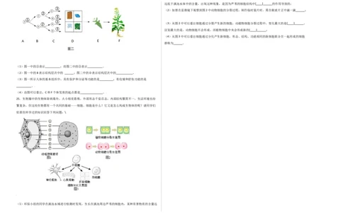 第2单元（第2章）细胞怎样构成生物体（选拔卷）（人教版）（考试版）_初中全科电子版试卷练习试题_生物_生物人教版7上练习&mdash;24新版已更新_人教生物7年级上单元试卷36份