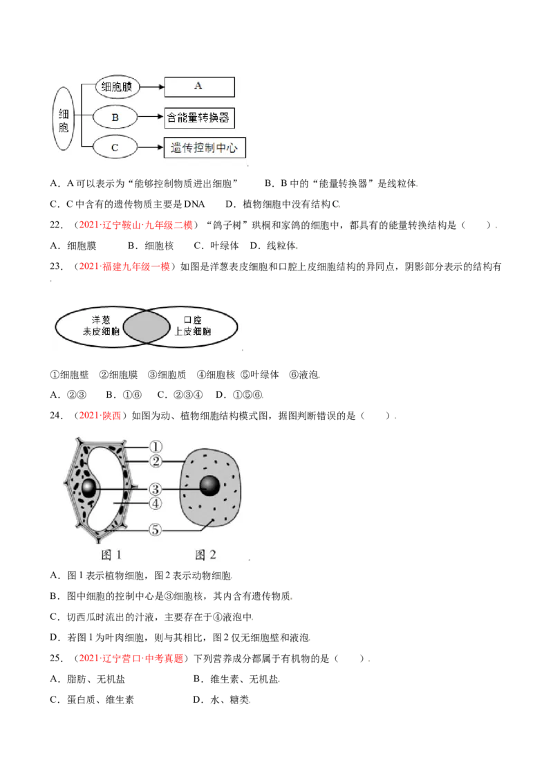 第02单元第01章细胞是生命活动的基本单位单元测试（B卷&middot;提升能力）（原卷版）_初中全科电子版试卷练习试题_生物_生物人教版7上练习&mdash;24新版已更新