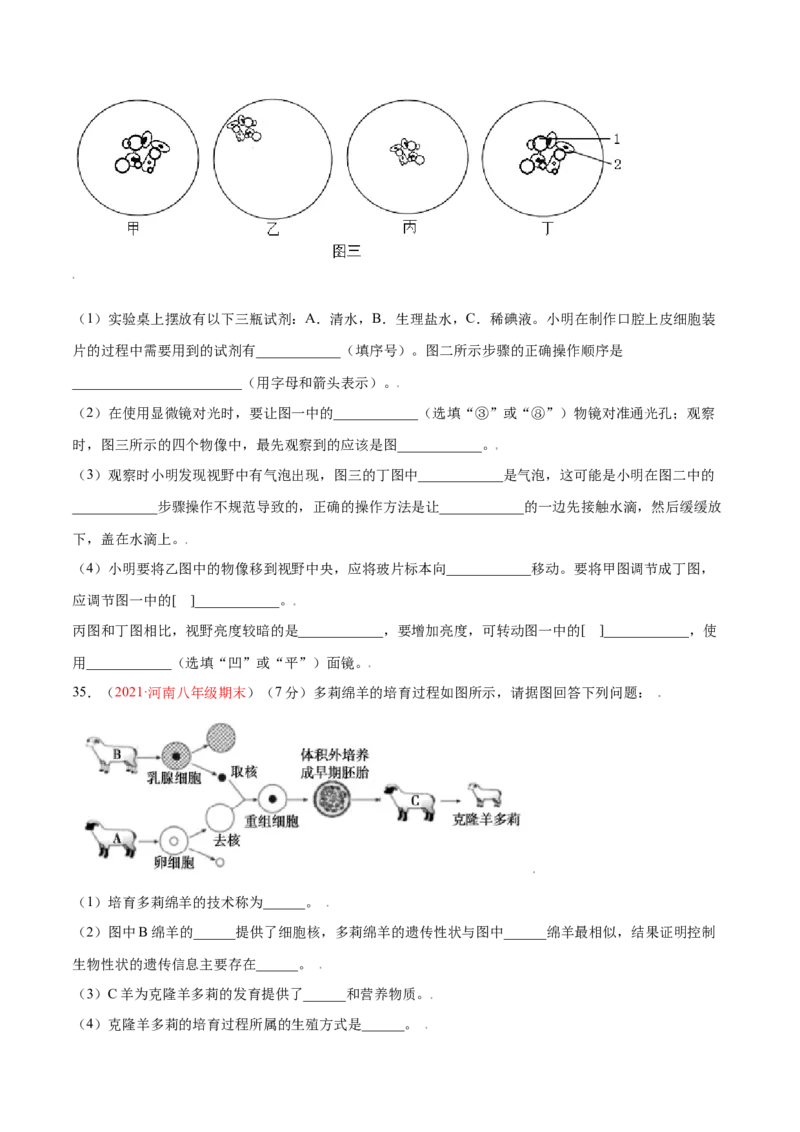 第02单元第01章细胞是生命活动的基本单位单元测试（B卷&middot;提升能力）（原卷版）_初中全科电子版试卷练习试题_生物_生物人教版7上练习&mdash;24新版已更新