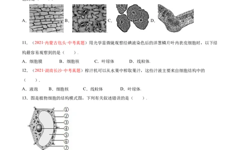 第02单元第01章细胞是生命活动的基本单位单元测试（B卷&middot;提升能力）（原卷版）_初中全科电子版试卷练习试题_生物_生物人教版7上练习&mdash;24新版已更新