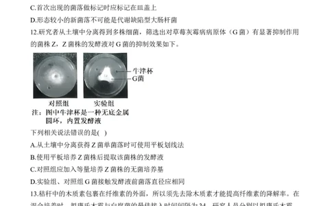 专题十六微生物的培养与发酵工程&mdash;2025届高考生物考点剖析专题卷（含解析）_2025年新高考资料_一轮复习_2025届高考生物一轮复习考点剖析练习（有解析）
