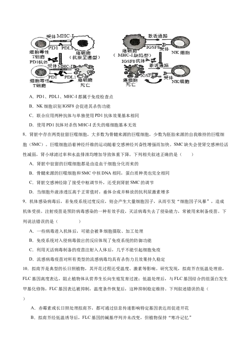 专题七稳态与调节（原卷版）_2025年新高考资料_二轮复习_01高考语文等多个文件_举一反三2025年高考生物二轮重点专题讲义（新高考通用）