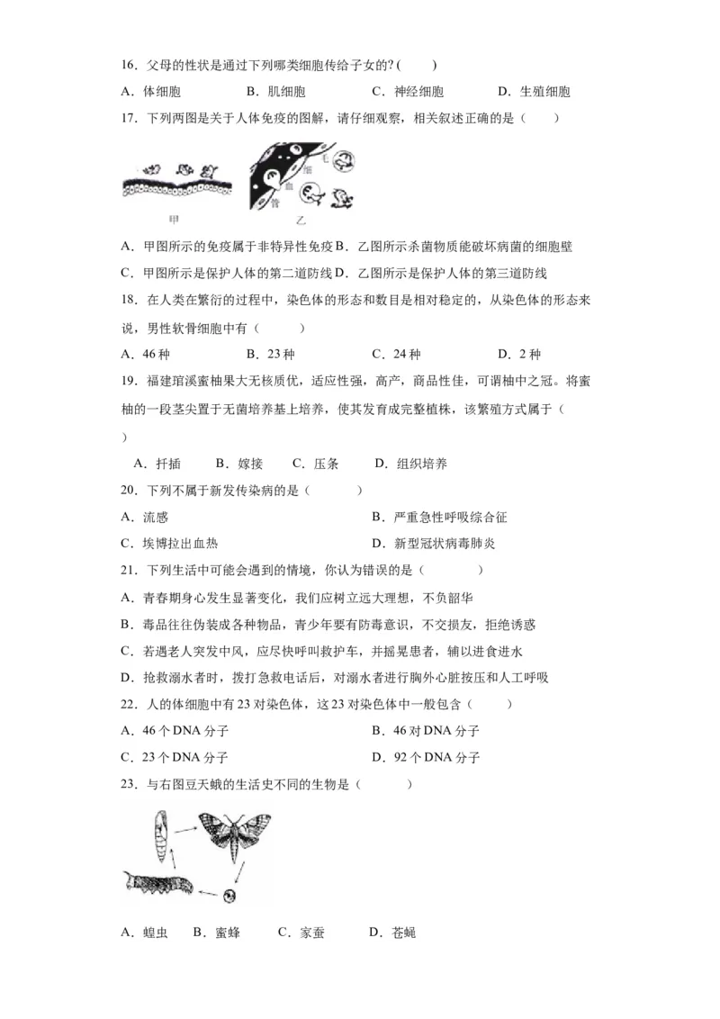 卷03-八年级生物下学期期末综合测试卷（人教版）（原卷版）_new_初中全科电子版试卷练习试题_生物_生物8下练习_人教生物8年级下期末试卷12份
