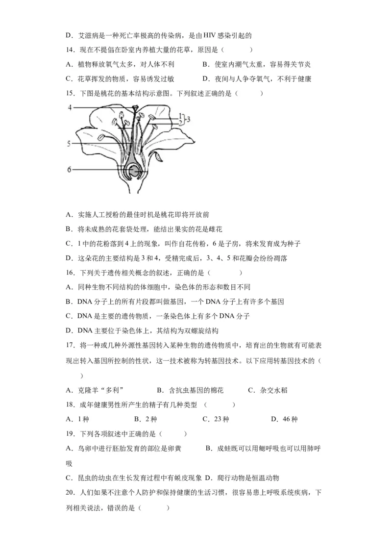 卷05-八年级生物下学期期末综合测试卷（人教版）（原卷版）_new_初中全科电子版试卷练习试题_生物_生物8下练习_人教生物8年级下期末试卷12份