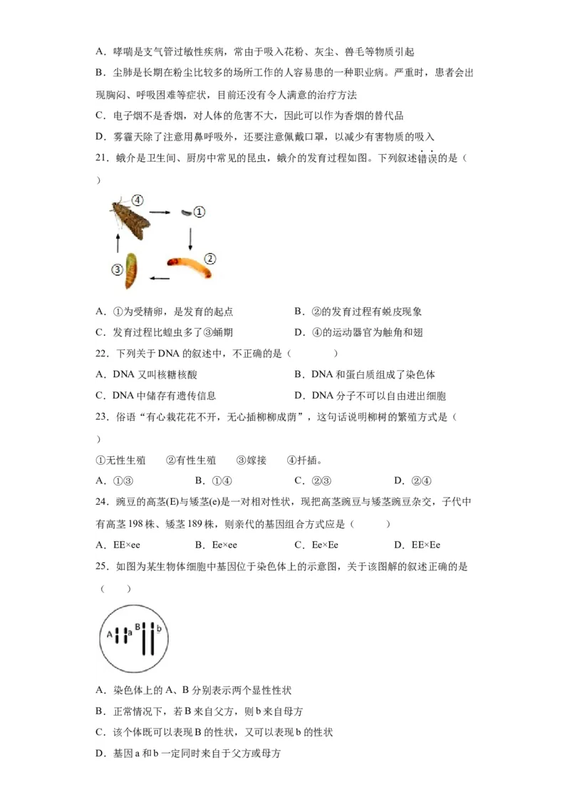 卷05-八年级生物下学期期末综合测试卷（人教版）（原卷版）_new_初中全科电子版试卷练习试题_生物_生物8下练习_人教生物8年级下期末试卷12份