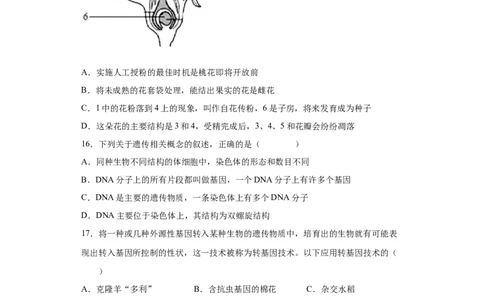 卷05-八年级生物下学期期末综合测试卷（人教版）（原卷版）_new_初中全科电子版试卷练习试题_生物_生物8下练习_人教生物8年级下期末试卷12份