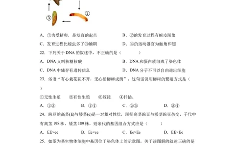 卷05-八年级生物下学期期末综合测试卷（人教版）（原卷版）_new_初中全科电子版试卷练习试题_生物_生物8下练习_人教生物8年级下期末试卷12份