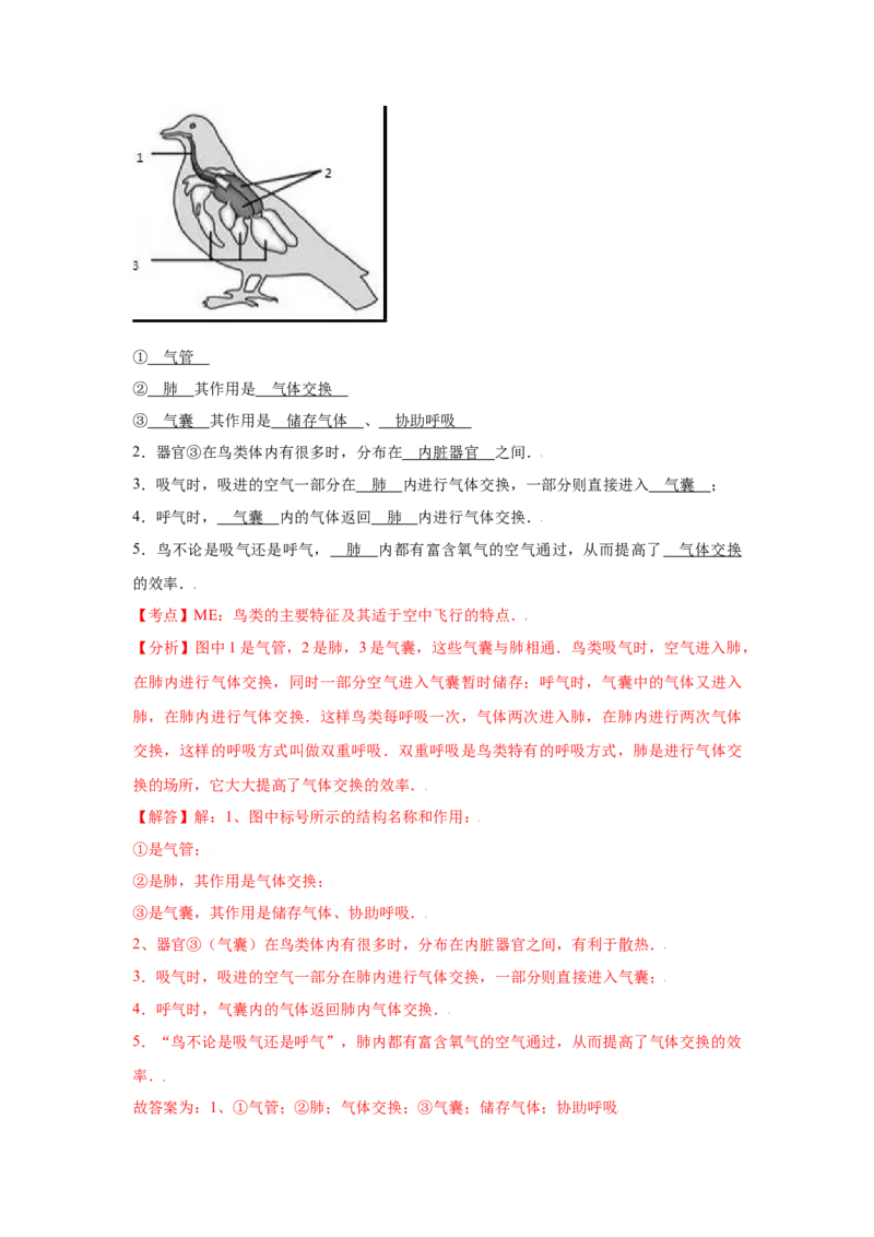 期末冲刺卷01-（人教版）（解析版）_初中全科电子版试卷练习试题_生物_生物8上练习_人教生物8年级上期末试卷10份