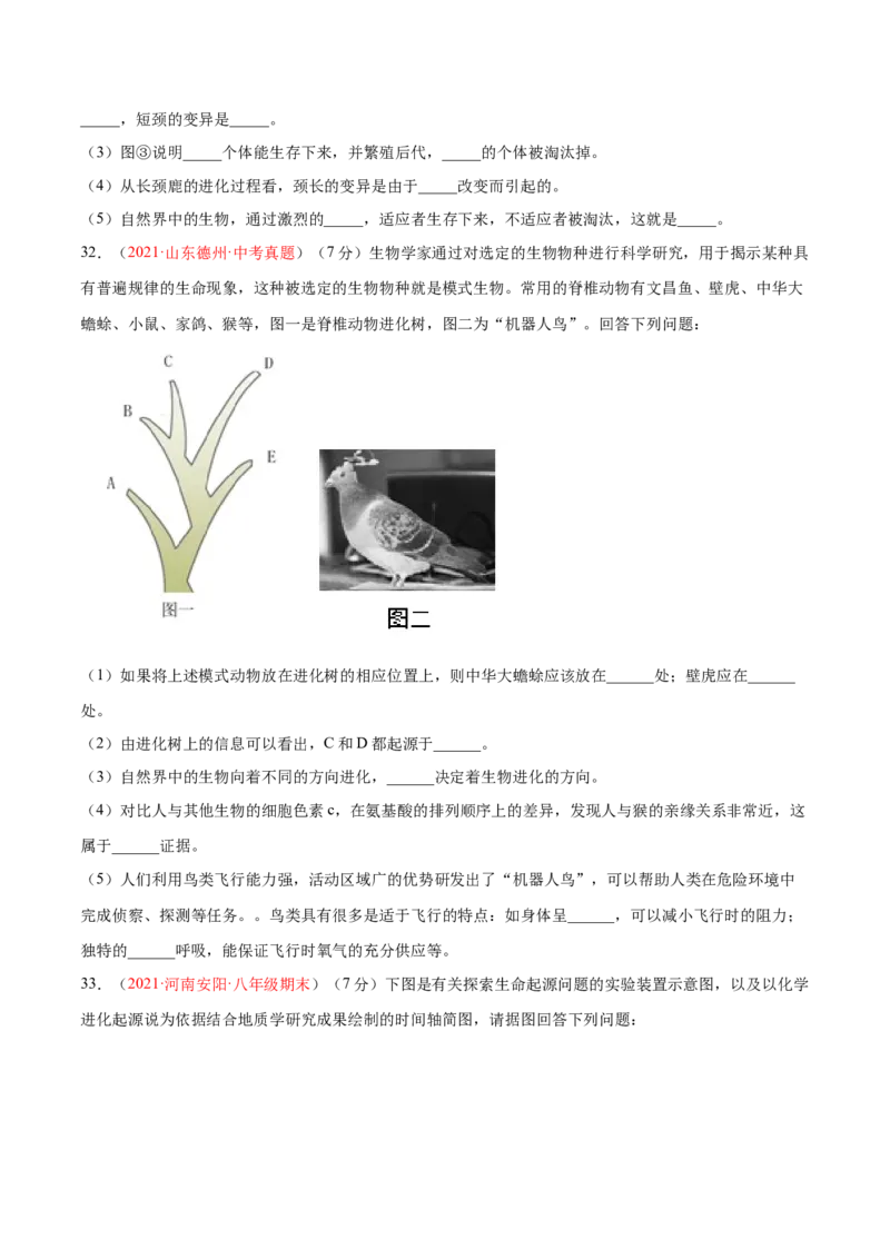 第07单元第03章生命起源和生物进化单元测试（B卷&middot;提升能力）（原卷版）_初中全科电子版试卷练习试题_生物_生物8下练习_人教生物8年级下单元试卷38份