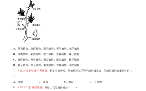 第07单元第03章生命起源和生物进化单元测试（B卷&middot;提升能力）（原卷版）_初中全科电子版试卷练习试题_生物_生物8下练习_人教生物8年级下单元试卷38份