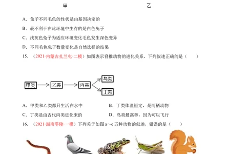 第07单元第03章生命起源和生物进化单元测试（B卷&middot;提升能力）（原卷版）_初中全科电子版试卷练习试题_生物_生物8下练习_人教生物8年级下单元试卷38份