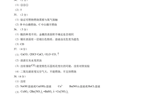 化学（北京卷）（参考答案及评分标准）_初中全科电子版试卷练习试题_化学_2024中考模拟题化学(1)_押题预测
