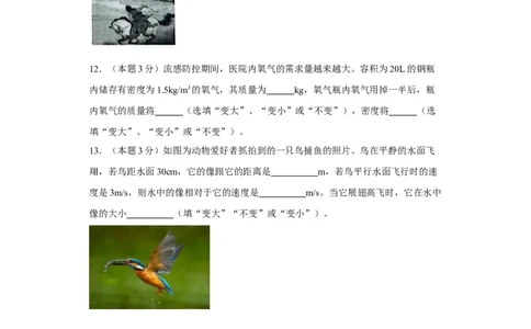 期末模拟卷01（原卷版）_初中全科电子版试卷练习试题_物理_8年级上册物理试题_人教版物理八年级上期末试卷（015份）_期末模拟卷01&mdash;划重点2023-2024年8上期中期末复习讲义