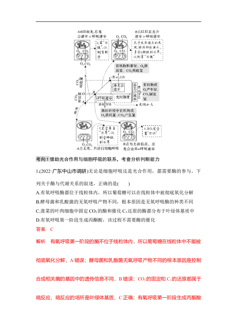 专题二细胞代谢（解析版）_新高考复习资料_2023年新高考复习资料_二轮复习_过二轮备战2023年高考生物二轮专题剖析与综合训练（新教材）