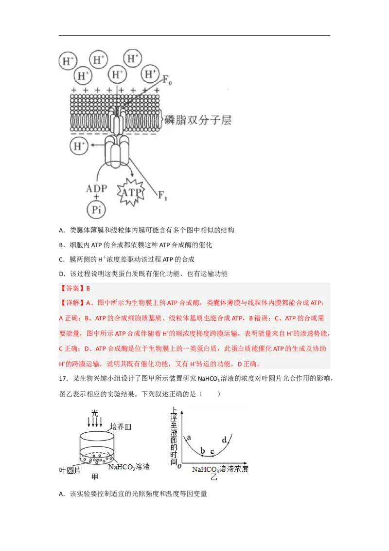 专题二细胞代谢（解析版）_新高考复习资料_2023年新高考复习资料_二轮复习_过二轮备战2023年高考生物二轮专题剖析与综合训练（新教材）