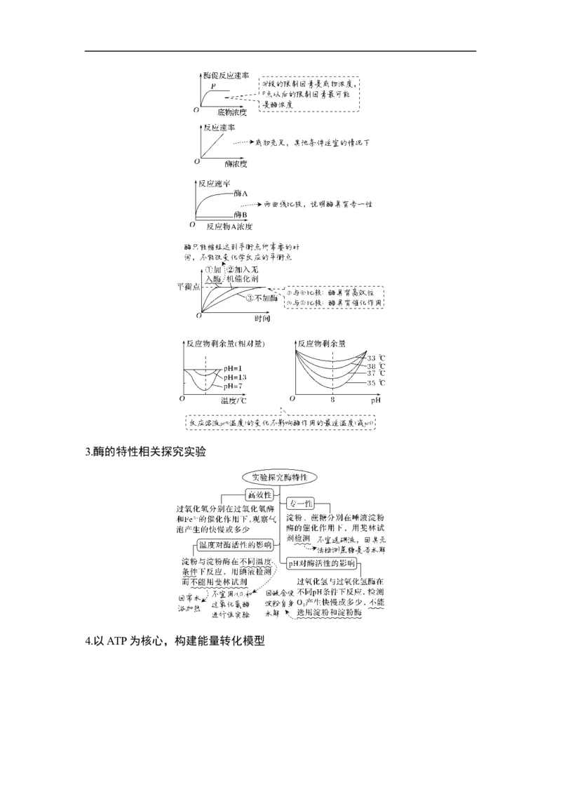 专题二细胞代谢（解析版）_新高考复习资料_2023年新高考复习资料_二轮复习_过二轮备战2023年高考生物二轮专题剖析与综合训练（新教材）