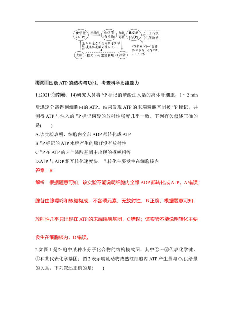 专题二细胞代谢（解析版）_新高考复习资料_2023年新高考复习资料_二轮复习_过二轮备战2023年高考生物二轮专题剖析与综合训练（新教材）