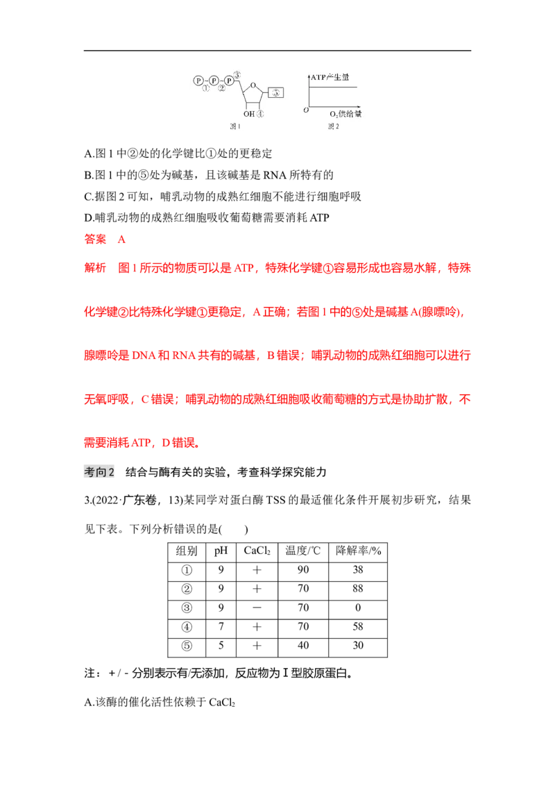 专题二细胞代谢（解析版）_新高考复习资料_2023年新高考复习资料_二轮复习_过二轮备战2023年高考生物二轮专题剖析与综合训练（新教材）
