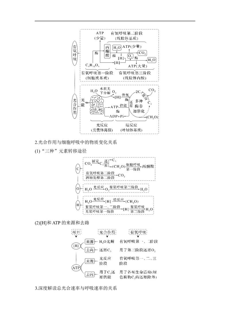 专题二细胞代谢（解析版）_新高考复习资料_2023年新高考复习资料_二轮复习_过二轮备战2023年高考生物二轮专题剖析与综合训练（新教材）