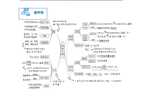 专题二细胞代谢（解析版）_新高考复习资料_2023年新高考复习资料_二轮复习_过二轮备战2023年高考生物二轮专题剖析与综合训练（新教材）