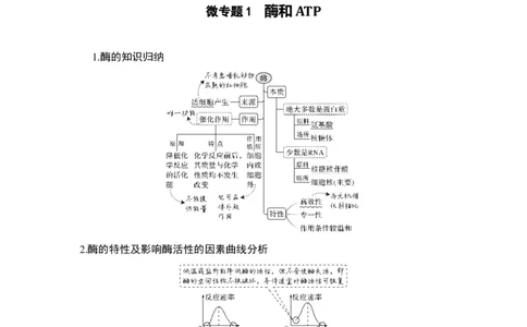 专题二细胞代谢（解析版）_新高考复习资料_2023年新高考复习资料_二轮复习_过二轮备战2023年高考生物二轮专题剖析与综合训练（新教材）