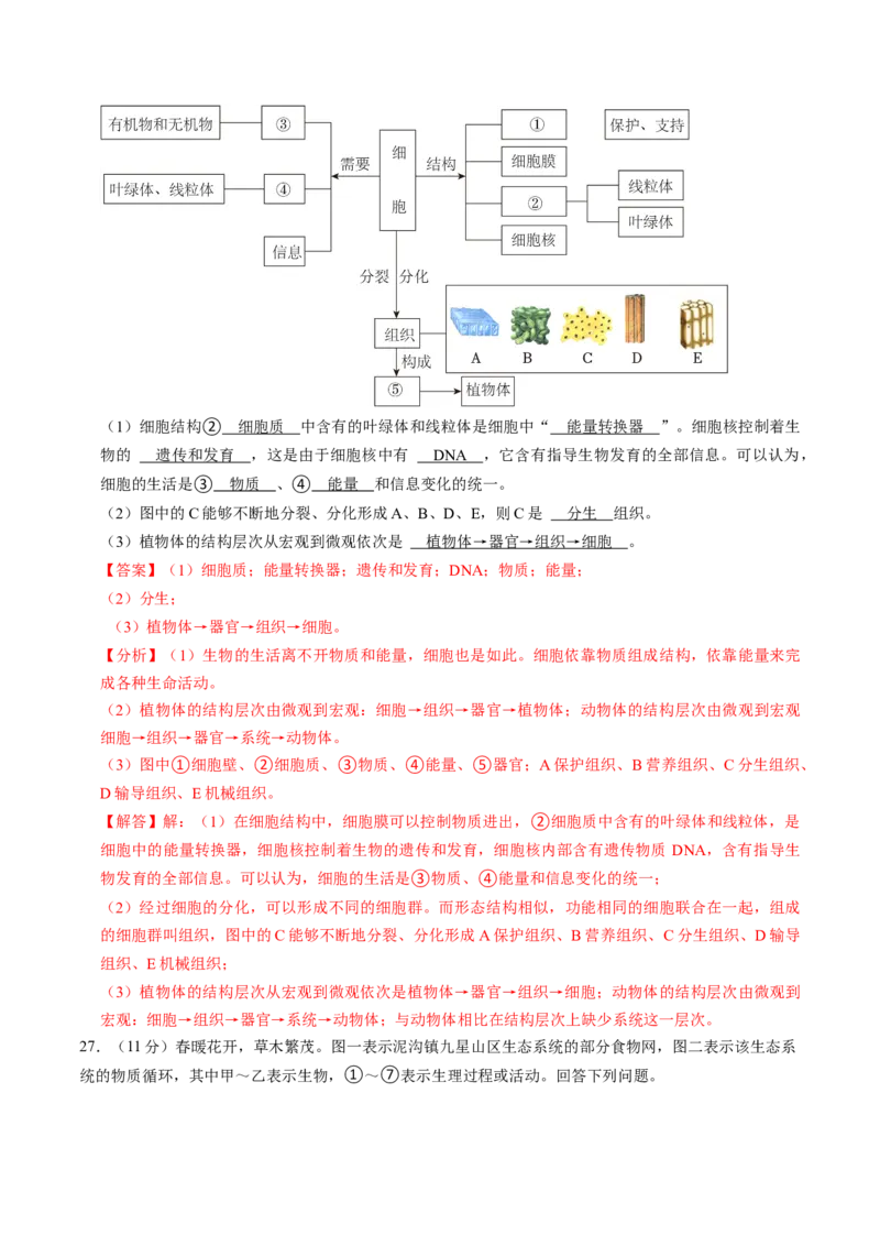 生物（济南卷）（全解全析）_初中全科电子版试卷练习试题_生物_2024中考模拟题生物(1)_一模_生物（济南卷）-2024年中考第一次模拟考试