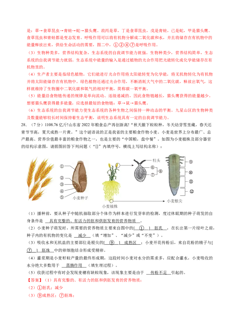 生物（济南卷）（全解全析）_初中全科电子版试卷练习试题_生物_2024中考模拟题生物(1)_一模_生物（济南卷）-2024年中考第一次模拟考试