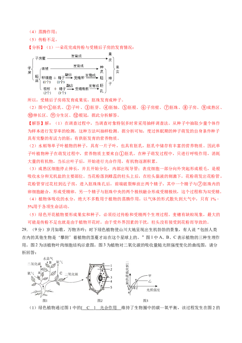 生物（济南卷）（全解全析）_初中全科电子版试卷练习试题_生物_2024中考模拟题生物(1)_一模_生物（济南卷）-2024年中考第一次模拟考试