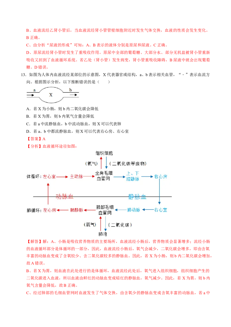 生物（济南卷）（全解全析）_初中全科电子版试卷练习试题_生物_2024中考模拟题生物(1)_一模_生物（济南卷）-2024年中考第一次模拟考试
