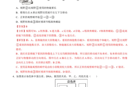 生物（济南卷）（全解全析）_初中全科电子版试卷练习试题_生物_2024中考模拟题生物(1)_一模_生物（济南卷）-2024年中考第一次模拟考试