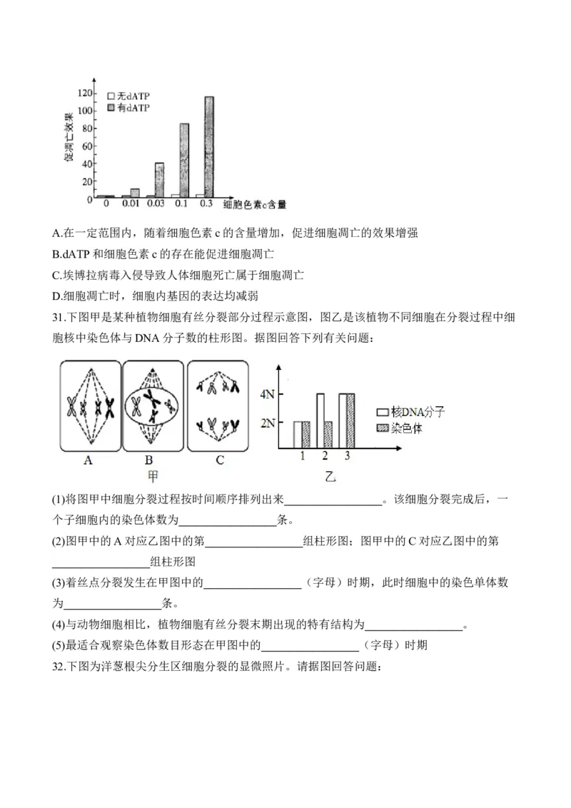专题五细胞的生命历程&mdash;&mdash;2025届高考生物考点剖析（含解析）_2025年新高考资料_一轮复习_2025届高考生物一轮复习考点剖析练习（有解析）